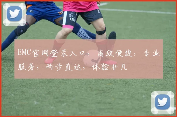 EMC官网登录入口，高效便捷，专业服务，两步直达，体验非凡