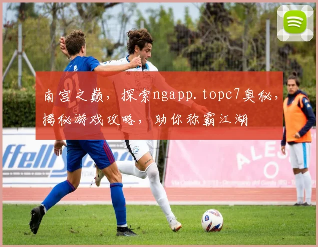 南宫之巅，探索ngapp.topc7奥秘，揭秘游戏攻略，助你称霸江湖